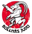 Bollnäs judoclub